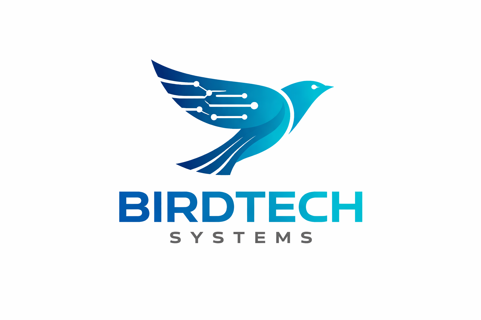 BirdTech Systems Logo